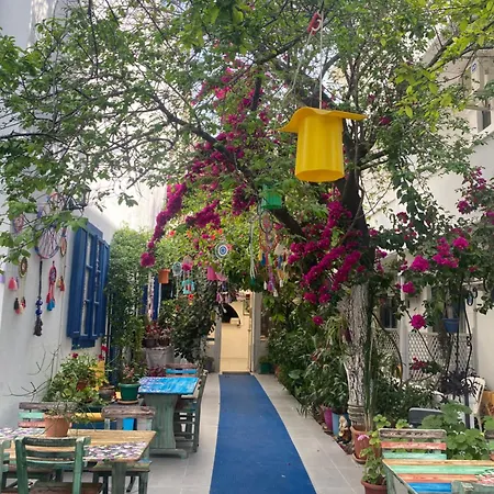 Miss Karya * Oren (Milas)