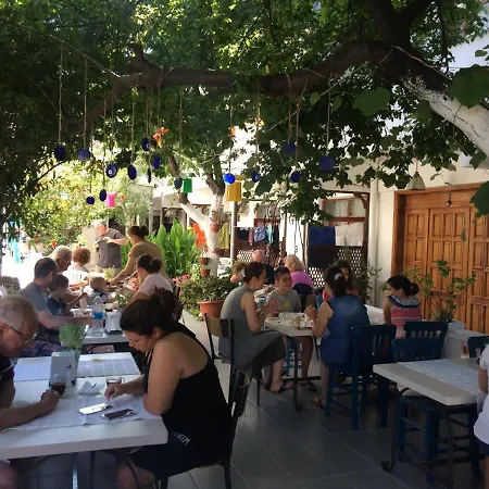 Miss Karya * Oren (Milas)