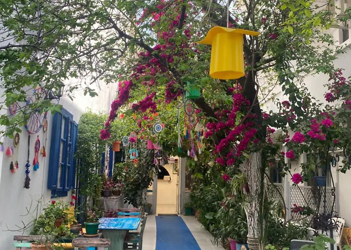 Miss Karya * Oren (Milas)