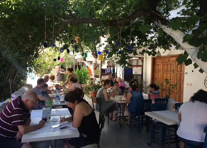 Miss Karya * Oren (Milas)